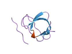 2j6f: N-TERMINAL SH3 DOMAIN OF CMS (CD2AP HUMAN HOMOLOG) BOUND TO CBL-B PEPTIDE