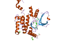 2j7t: CRYSTAL STRUCTURE OF HUMAN SERINE THREONINE KINASE-10 BOUND TO SU11274