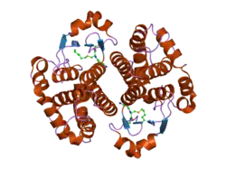 2j9h: CRYSTAL STRUCTURE OF HUMAN GLUTATHIONE-S-TRANSFERASE P1-1 CYS-FREE MUTANT IN COMPLEX WITH S-HEXYLGLUTATHIONE AT 2.4 A RESOLUTION