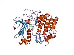 2jdr: STRUCTURE OF PKB-BETA (AKT2) COMPLEXED WITH THE INHIBITOR A-443654