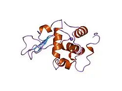 2mei: CONTRIBUTION OF HYDROPHOBIC EFFECT TO THE CONFORMATIONAL STABILITY OF HUMAN LYSOZYME
