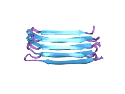 2nnt: General structural motifs of amyloid protofilaments