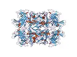 2nx5: Crystal structure of ELS4 TCR bound to HLA-B*3508 presenting EBV peptide EPLPQGQLTAY at 1.7A
