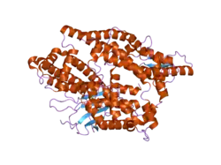 2o3e: Crystal structure of engineered neurolysin with thimet oligopeptidase specificity for neurotensin cleavage site.