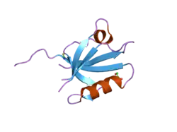 2ocs: The crystal structure of the first PDZ domain of human NHERF-2 (SLC9A3R2)