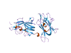 2orz: Structural Basis for Ligand Binding and Heparin Mediated Activation of Neuropilin