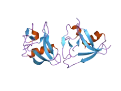 2ott: Crystal structure of CD5_DIII