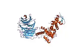 2ovp: Structure of the Skp1-Fbw7 complex