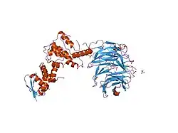 2ovr: Structure of the Skp1-Fbw7-CyclinEdegN complex