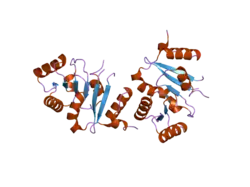 2p6n: Human DEAD-box RNA helicase DDX41, helicase domain