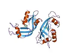 2rnf: X-RAY CRYSTAL STRUCTURE OF HUMAN RIBONUCLEASE 4 IN COMPLEX WITH D(UP)