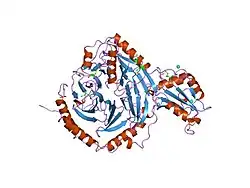 2trc: PHOSDUCIN/TRANSDUCIN BETA-GAMMA COMPLEX