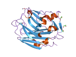 2uur: N-TERMINAL NC4 DOMAIN OF COLLAGEN IX