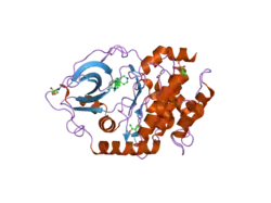 2uw0: STRUCTURE OF PKA-PKB CHIMERA COMPLEXED WITH 6-(4-(4-(4-CHLORO-PHENYL)-PIPERIDIN-4-YL)-PHENYL)-9H-PURINE