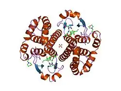 3gss: HUMAN GLUTATHIONE S-TRANSFERASE P1-1 IN COMPLEX WITH ETHACRYNIC ACID-GLUTATHIONE CONJUGATE