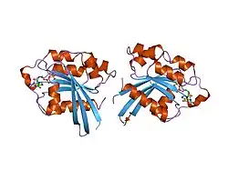 3rap: The small G protein Rap2 in a non catalytic complex with GTP