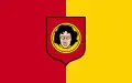 Flag of Głowno