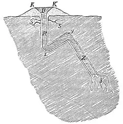Diagram of a theoretical structure for Geysir, from 1882