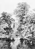 The Cam near Trinity College, Cambridge (unknown artist): a grove of mainly English elms on The Backs[98]