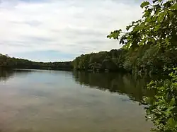 Pachaug Trail – Green Fall Pond northernmost shore looking south, Voluntown, CT.