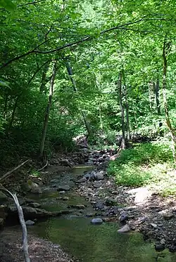 Parfrey's Glen Creek