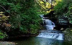 Afternoon light shines on lush green trees around a medium sized cascade waterfall