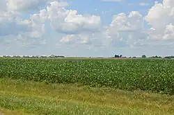 Fields south of Hartford