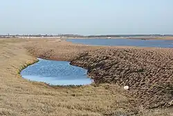 Percolation lagoon at Shingle Street