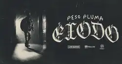 The promotional poster for the Éxodo Tour, which shows a person walking out of a door, with light rays illuminating it.