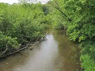 The Pigeon River flowing through the township