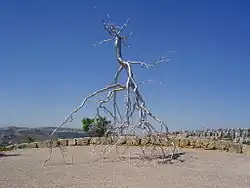 Inversion, 2008, at Billy Rose Art Garden, Israel Museum