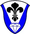 H R Stockdale Nursing College (South Africa): Azure, on a pile argent, the point couped, a fleur-de-lis sable, in base a cut diamond argent.