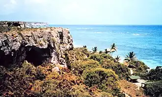 Playa Pájaros