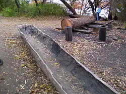 American Indian canoes (mishoons) under construction