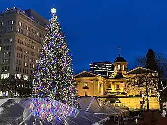 Photograph of a Christmas tree in a public plaza at night, with illuminated buildings in the background
