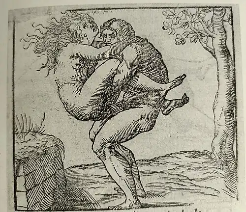 Image 15 woodcut booklet. The woodcut booklet has been described as having two images "…in the abbreviated final signature…[that] seem to come from different traditions."[1] For the image with the standing figure it has been commented that "…both image and text differ markedly in style from those that precede them" in the woodcut booklet.[17]