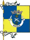 Flag of Bucelas