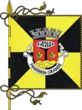 Flag of Marinha Grande