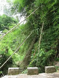 Sector Santo Domingo