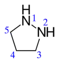 Structural formula of pyrazolidine
