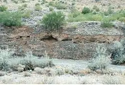 Goldmine Gulch. The gulch is a narrow and steep-sided ravine marking the course of a fast stream.