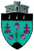 Coat of arms of Frătăuții Noi