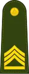Master Sergeant 1st Class