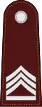 Police sergeant major