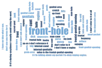 A word cloud of various terms used by transmasculine people for their vaginas, with the largest ("front-hole") in the center