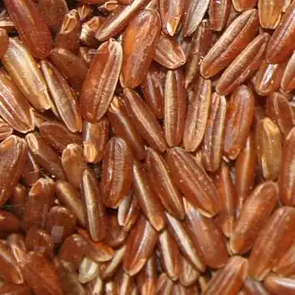 The same rice, dehusked (whole brown rice)