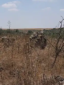 Façade of ruined house in Khirbet Dhikrin
