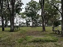More picnic benches at Upper George Maunder lookout area