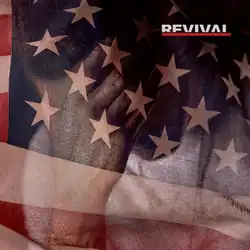 The cover features a flying flag of the US with Eminem in the background. On the top right is the title of the album.