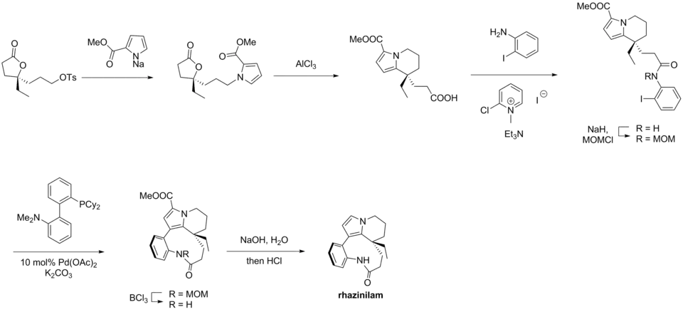 Rhazinilam – Trauner synthesis